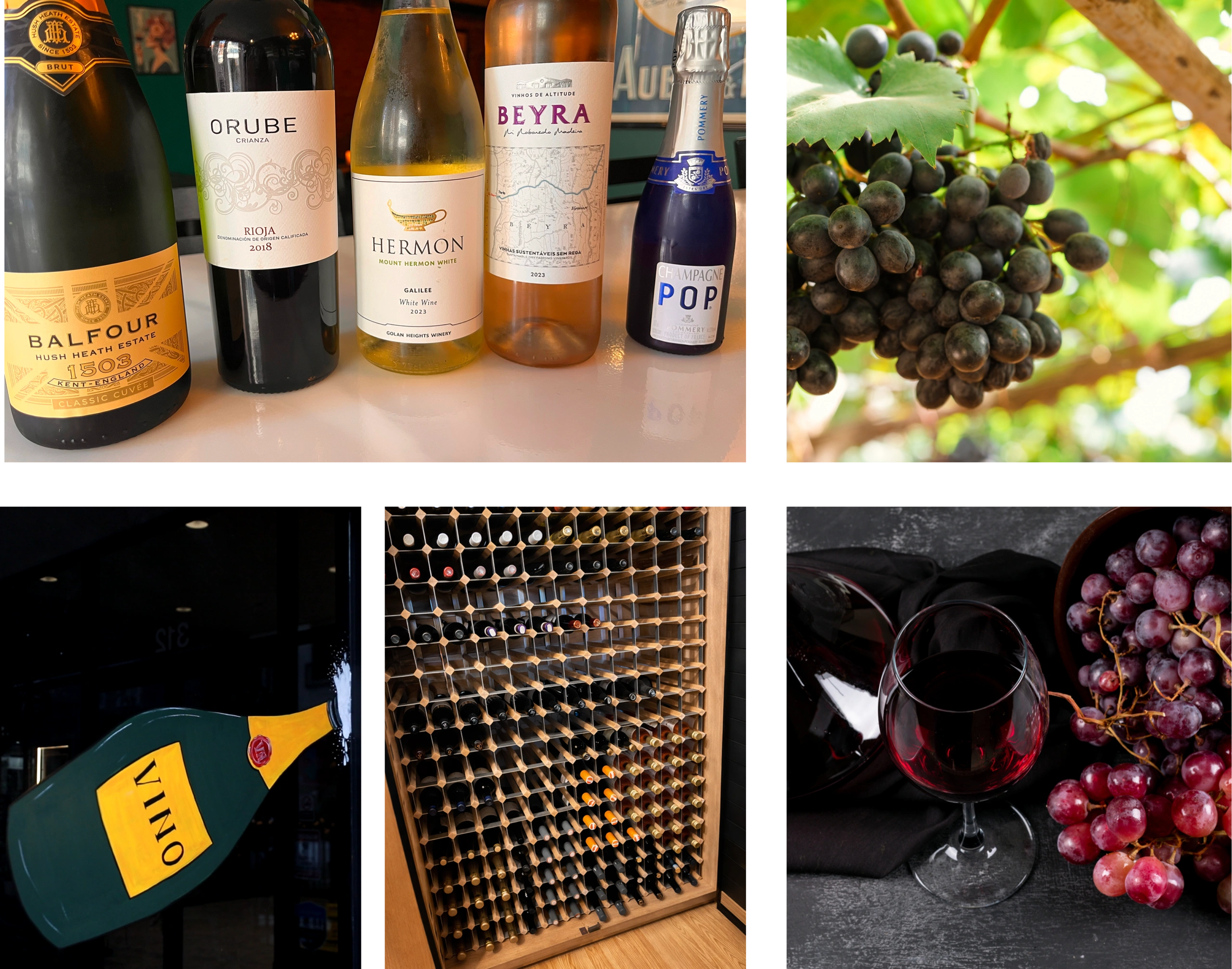 Wine Cellar and types of Wine at Vino Noir Wine & Tapas